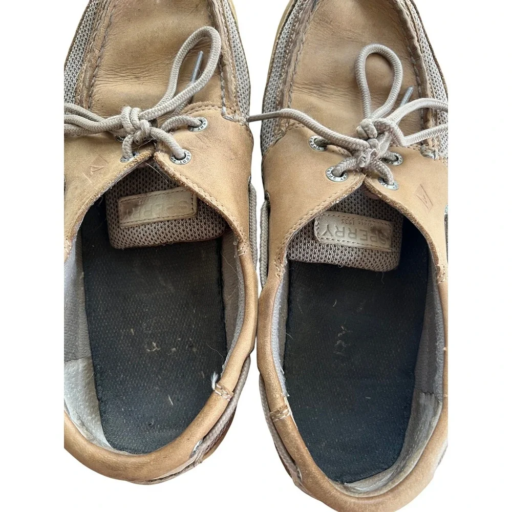 Sperry top sider